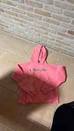 Champignon pull maat xs of xl kindere, Vêtements | Femmes, Pulls & Gilets, Enlèvement ou Envoi, Comme neuf, Taille 34 (XS) ou plus petite