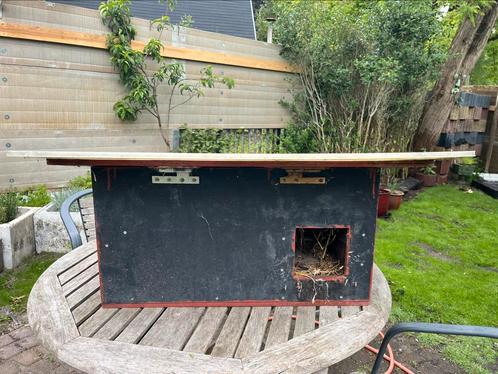 Cavia konijnenhok bxhxd; 70x40x60, Dieren en Toebehoren, Knaagdieren en Konijnen | Hokken en Kooien, Hok, Minder dan 60 cm, Minder dan 75 cm