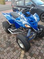 Yamaha raptor 350, Motoren