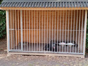  Luxe hondenkennel / ren  beschikbaar voor biedingen