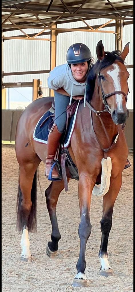 Spring - kweekmerrie, Animaux & Accessoires, Chevaux, Jument, Ne s'applique pas, 160 à 165 cm, 3 à 6 ans, Cheval de saut, Avec pedigree