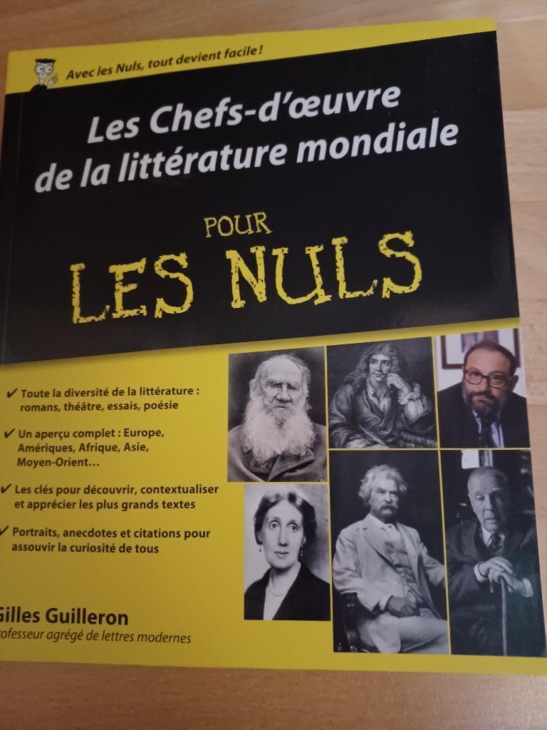 Les Chefs-d'œuvre de la littérature mondiale pour les nuls, Livres, Enlèvement ou Envoi, Neuf