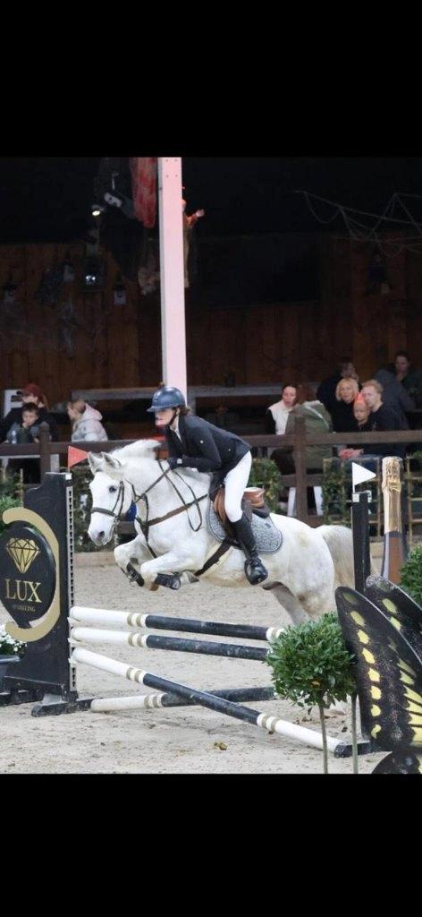 Springpony, Dieren en Toebehoren, Pony's, Ruin, E pony (1.48m - 1.57m), Springpony, 7 tot 10 jaar