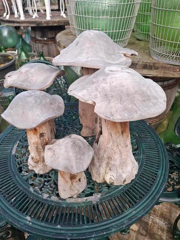 Teak houten paddestoelen set van 5 stuks ! TOPPER  beschikbaar voor biedingen
