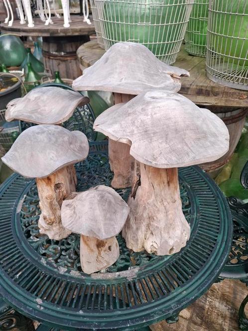 Teak houten paddestoelen set van 5 stuks ! TOPPER, Tuin en Terras, Tuinwanddecoratie, Zo goed als nieuw, Ophalen of Verzenden