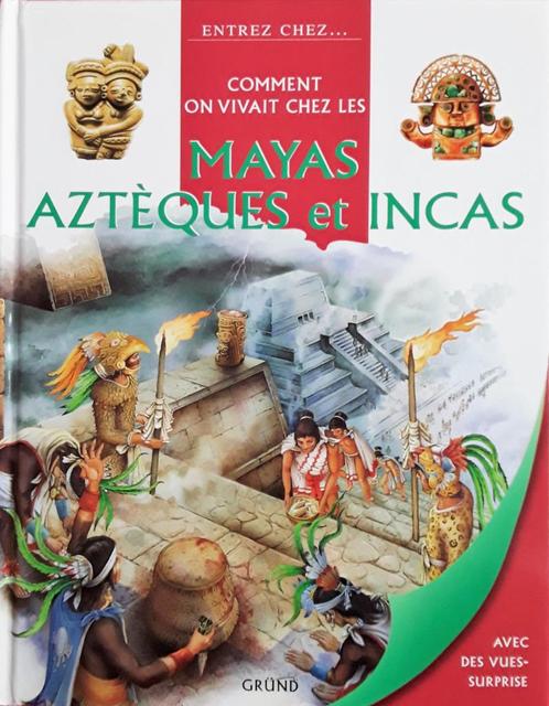 Livre illustré en couleur Mayas, Aztèques & Incas - NOUVEAU, Livres, Histoire & Politique, Neuf, Enlèvement