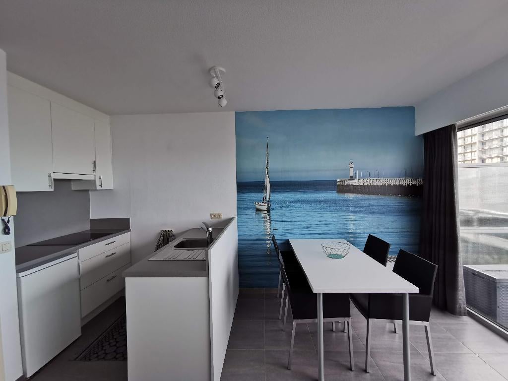 Studio te huur Nieuwpoort Bad, Vakantie, Vakantiehuizen | België, Antwerpen of Vlaanderen, Appartement, Stad, Aan zee, 1 slaapkamer
