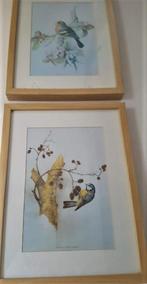 lente schilderijtjes, Ophalen