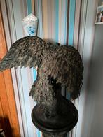 Uil, Ophalen, Zo goed als nieuw