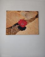 Cadre déco, Antiek en Kunst, Kunst | Schilderijen | Abstract, Ophalen