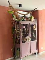 Super leuke vogelkooi / vogelkast, Dieren en Toebehoren, Vogels | Hokken en Kooien, Ophalen, Zo goed als nieuw, Vogelkooi