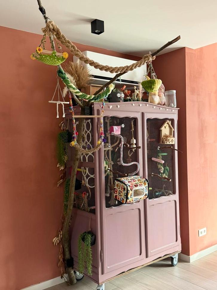 Super leuke vogelkooi / vogelkast, Dieren en Toebehoren, Vogels | Hokken en Kooien, Zo goed als nieuw, Vogelkooi, Ophalen