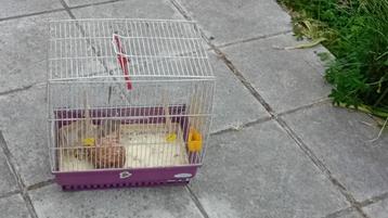 cage, Dieren en Toebehoren, Ophalen of Verzenden, Gebruikt, Metaal, Overige typen