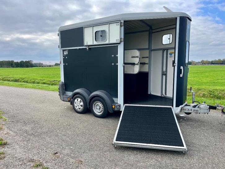Gezocht Ifor Williams trailer met voorlosklep, Dieren en Toebehoren, Paarden en Pony's | Trailers en Aanhangwagens, Gebruikt, Overige typen