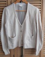 Prachtig vest met voile achterkant large., Vêtements | Femmes, Habits de circonstance, Taille 42/44 (L), H&M, Enlèvement ou Envoi