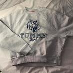 Sweater Tommy Jeans, Kleding | Dames, Grijs, Ophalen of Verzenden, Tommy Jeans, Zo goed als nieuw