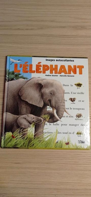 livres pour enfants 