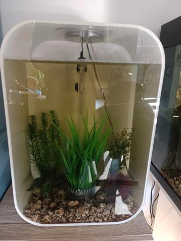Biorb life 45 aquarium  beschikbaar voor biedingen