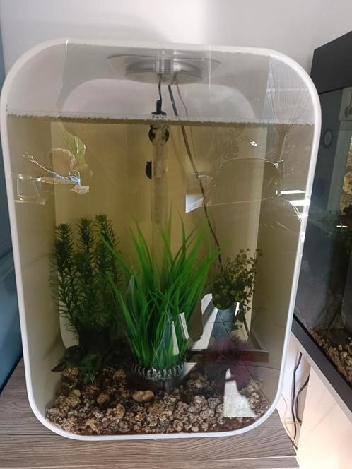 Biorb life 45 aquarium, Dieren en Toebehoren, Vissen | Aquaria en Toebehoren, Zo goed als nieuw, Ophalen of Verzenden