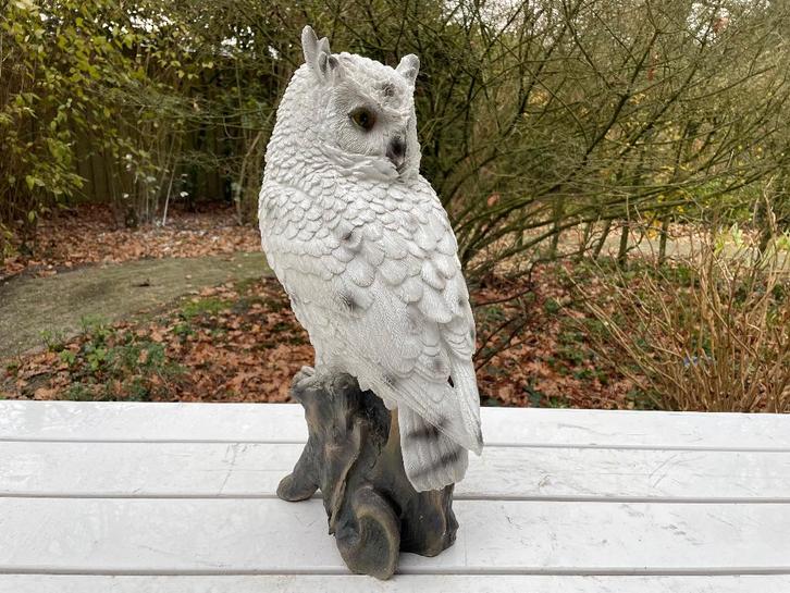Beeld sneeuw uil, tuin, zwembad, vijver 55cm, Tuin en Terras, Tuinbeelden, Nieuw, Dierenbeeld, Kunststof, Ophalen