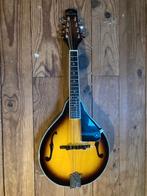 Mandoline, Musique & Instruments, Instruments à corde | Mandolines, Enlèvement, Utilisé