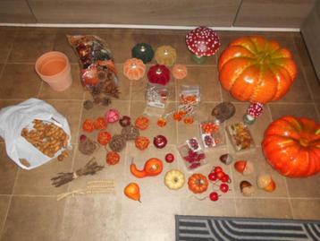 Mooi lot Halloween-herfst decoratie beschikbaar voor biedingen