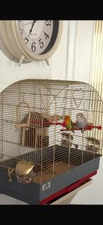 Couple inséparable (perruches) + cage + nourriture, Ophalen of Verzenden, Zo goed als nieuw