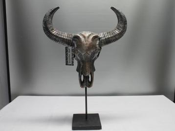 Buffelschedel op standaard, Enlèvement ou Envoi, Comme neuf, Animal sauvage, Crâne