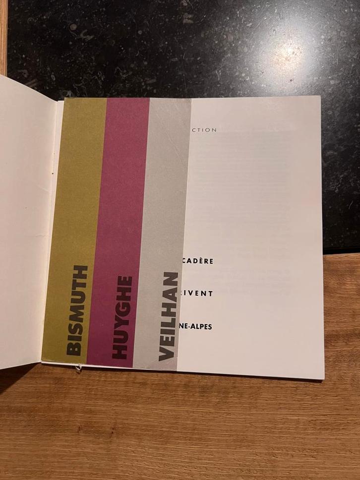 Bismuth Huyghe Veilhan Kunstboekje, Boeken, Kunst en Cultuur | Beeldend, Gelezen, Schilder- en Tekenkunst, Ophalen of Verzenden