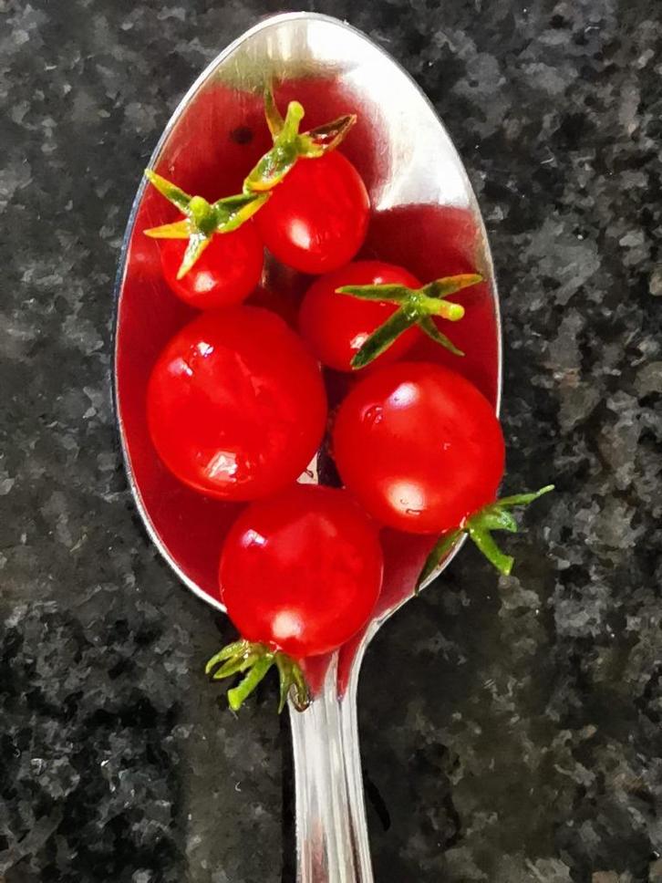 5 zaden decoratieve mini tomaat Currant sweet pea - bio, Tuin en Terras, Bloembollen en Zaden, Wortelstok, Voorjaar, Verzenden