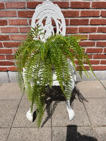 ZWARE GIETIJZEREN TUINSTOEL OF SIERSTOEL IN GOEDE STAAT beschikbaar voor biedingen