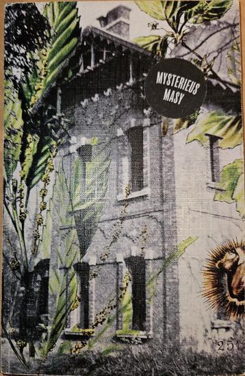 Mysterieus Masy: het verhaal van een man en zijn domein beschikbaar voor biedingen