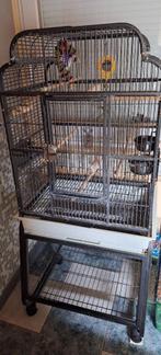 Vogelkooi valkparkiet, Dieren en Toebehoren, Ophalen, Zo goed als nieuw, Vogelkooi