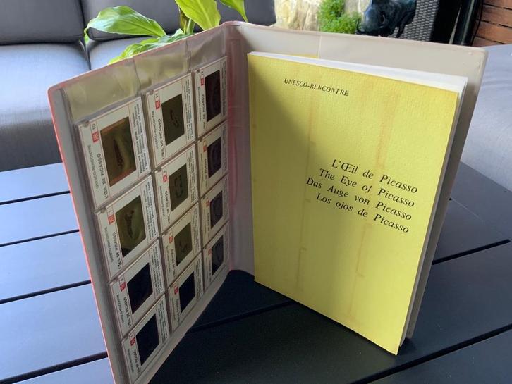 Picasso's oog van Roland Penrose, Boeken, Kunst en Cultuur | Beeldend, Zo goed als nieuw, Schilder- en Tekenkunst, Ophalen of Verzenden