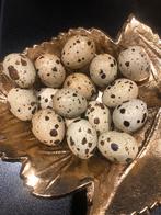 Japanse kwartel eieren