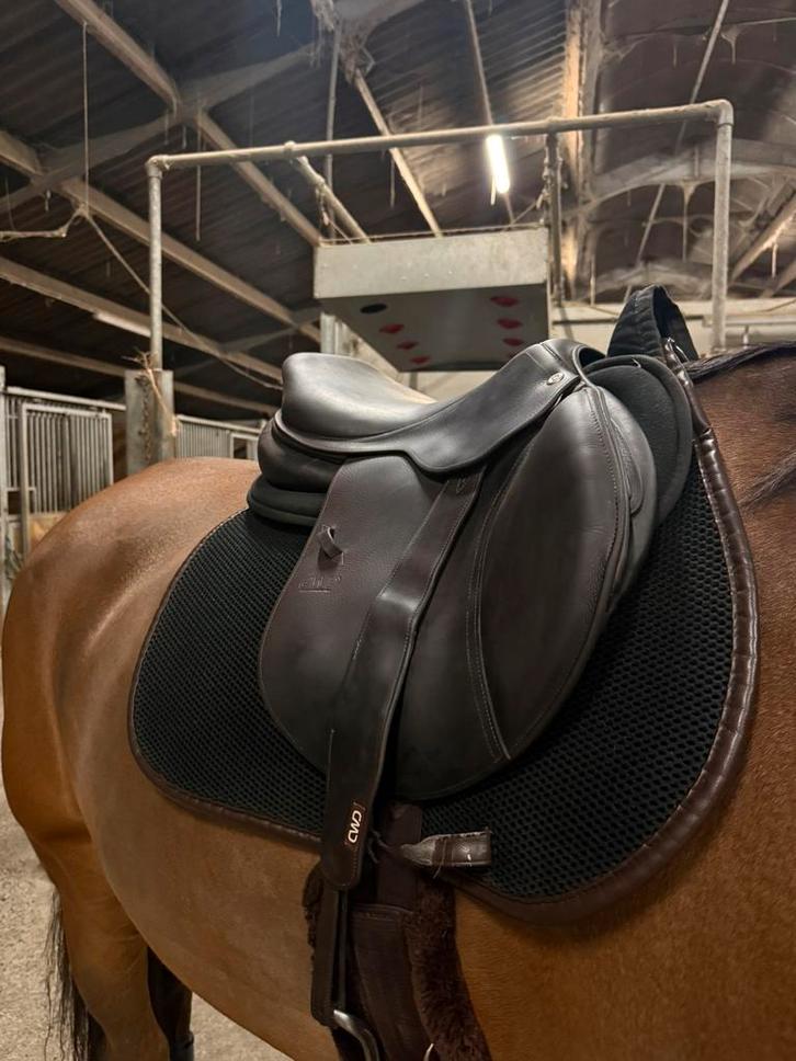 CWD S02 17,5'’ goede prijs, Dieren en Toebehoren, Paarden en Pony's | Zadels, Gebruikt, Springen, Ophalen