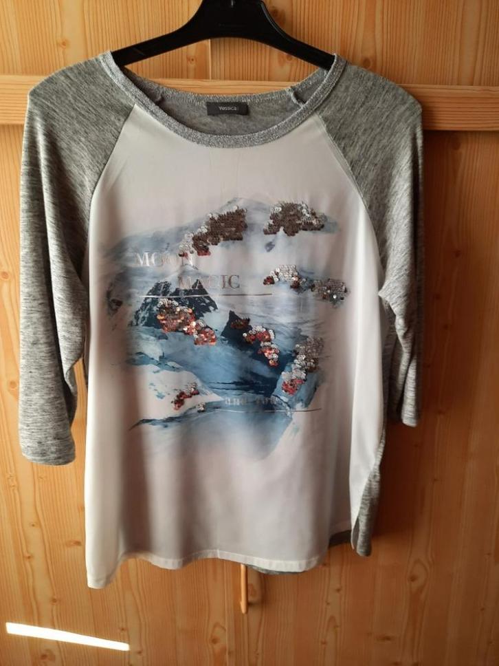 Blouse / truitje / wit/grijs met glitters maat M, Kleding | Dames, Blouses en Tunieken, Zo goed als nieuw, Maat 38/40 (M), Wit