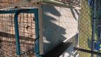 bluestone, Tuin en Terras, Ophalen, Nieuw
