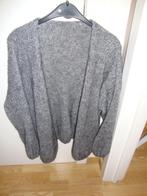 Gillet grijs, one size, Kleding | Dames, Ophalen of Verzenden, Gedragen, Grijs