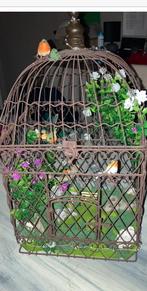 Cage à oiseaux rétro, Antiquités & Art, Enlèvement