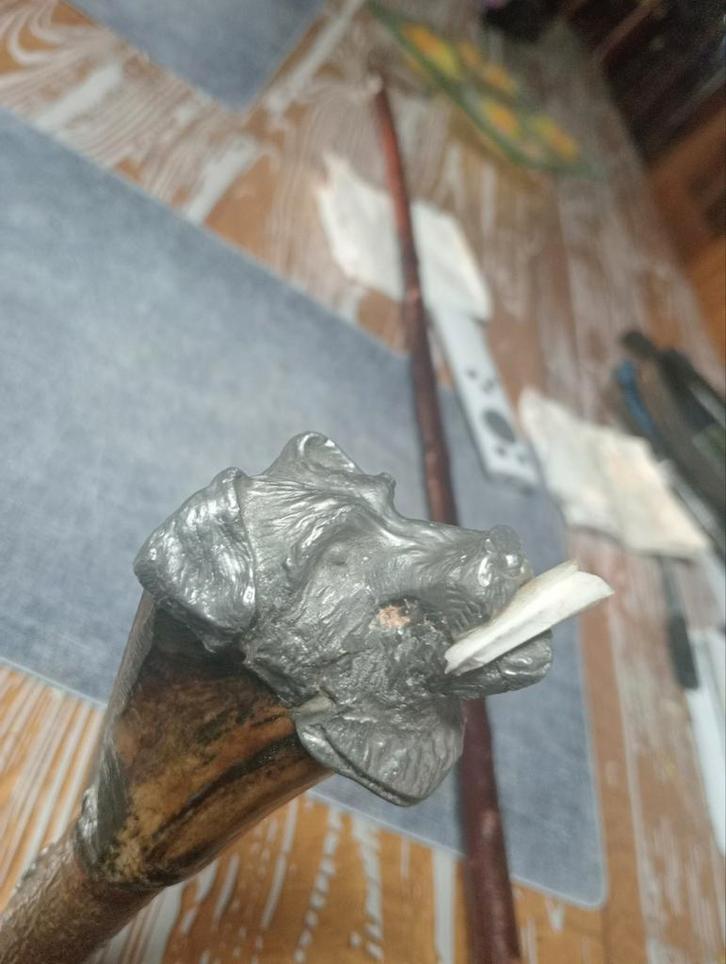 Canne chien de chasse, Divers, Bâtons de marche