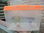 Visbokaal, Dieren en Toebehoren, Vissen | Aquaria en Toebehoren, Ophalen, Gebruikt, Leeg aquarium