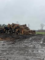 Stamhout hard.   Eik beuk es, Tuin en Terras, Brandhout, Ophalen, Stammen