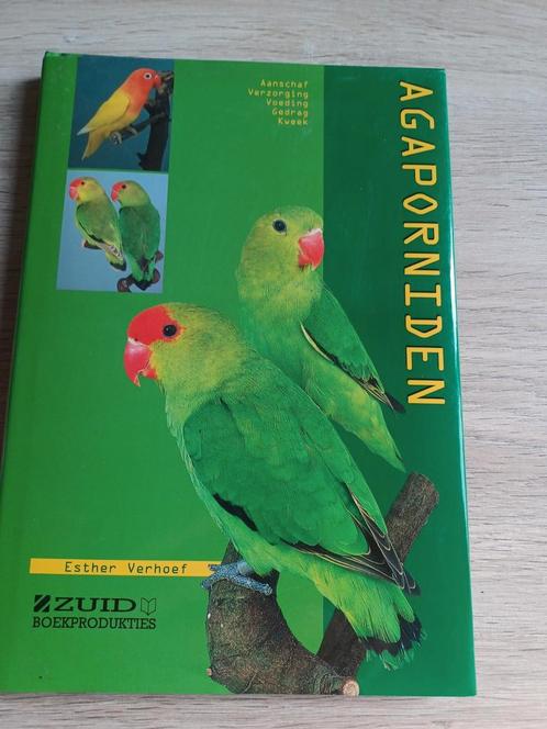 Esther Verhoef - Agaporniden, Dieren en Toebehoren, Vogels | Parkieten en Papegaaien