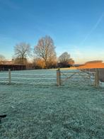 Paardenweide afsluiting met 2 Engelse poorten te koop, Dieren en Toebehoren, Stalling en Weidegang