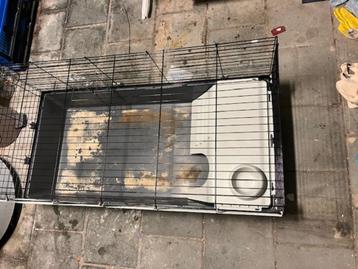 Cavia-/konijnenkooi - 117 cmx56 + complete accessoires beschikbaar voor biedingen