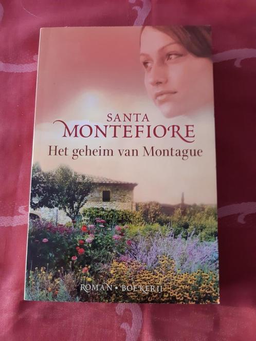 NIEUW Santa Montefiore - Het geheim van Montague, Livres, Romans, Neuf, Enlèvement ou Envoi