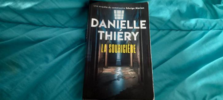 La souricière, Livres, Thrillers, Comme neuf, Enlèvement ou Envoi
