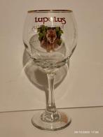 6 verres LUPULUS 25 Cl ., Collections, Enlèvement, Neuf, Verre à bière