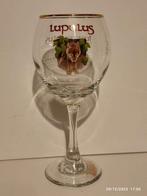 6 verres LUPULUS 25 Cl ., Enlèvement, Neuf, Verre à bière